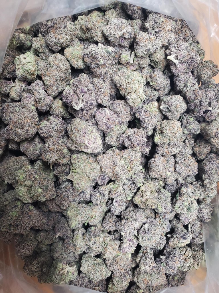 Indoor